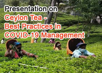 Ceylon Tea – Best Practices in COVID-19 Management