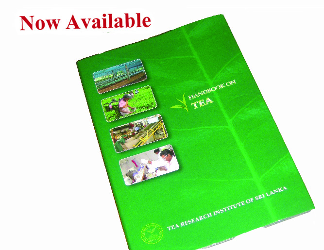 Hand Book on Tea – Now Available