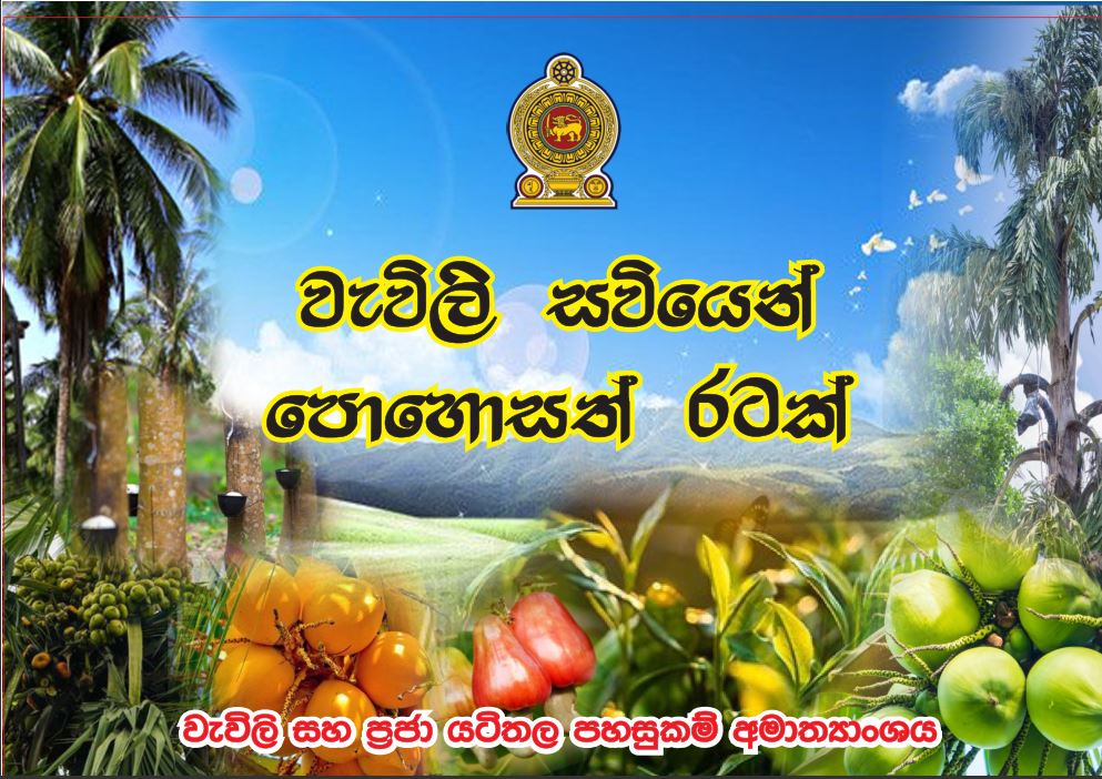වැවිලි සවියෙන් පොහොසත් රටක් අත්පොත